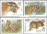 *Známky Rusko 1993 Ussurijský tiger nerazítkovaná séria MNH - Kliknutím na obrázok zatvorte -